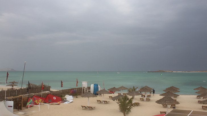 Webcam Tortuga