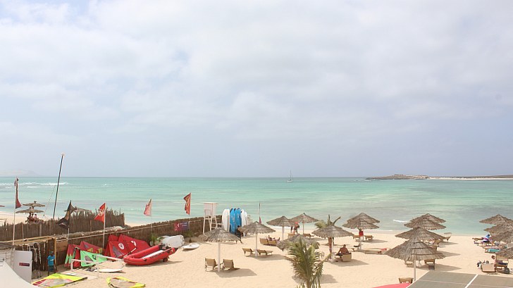 Webcam Tortuga